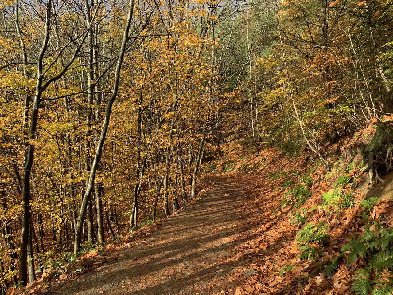  Retreat Robertville 
